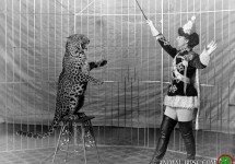 1200px_female_animal_trainer_and_leopard_c1906.jpg